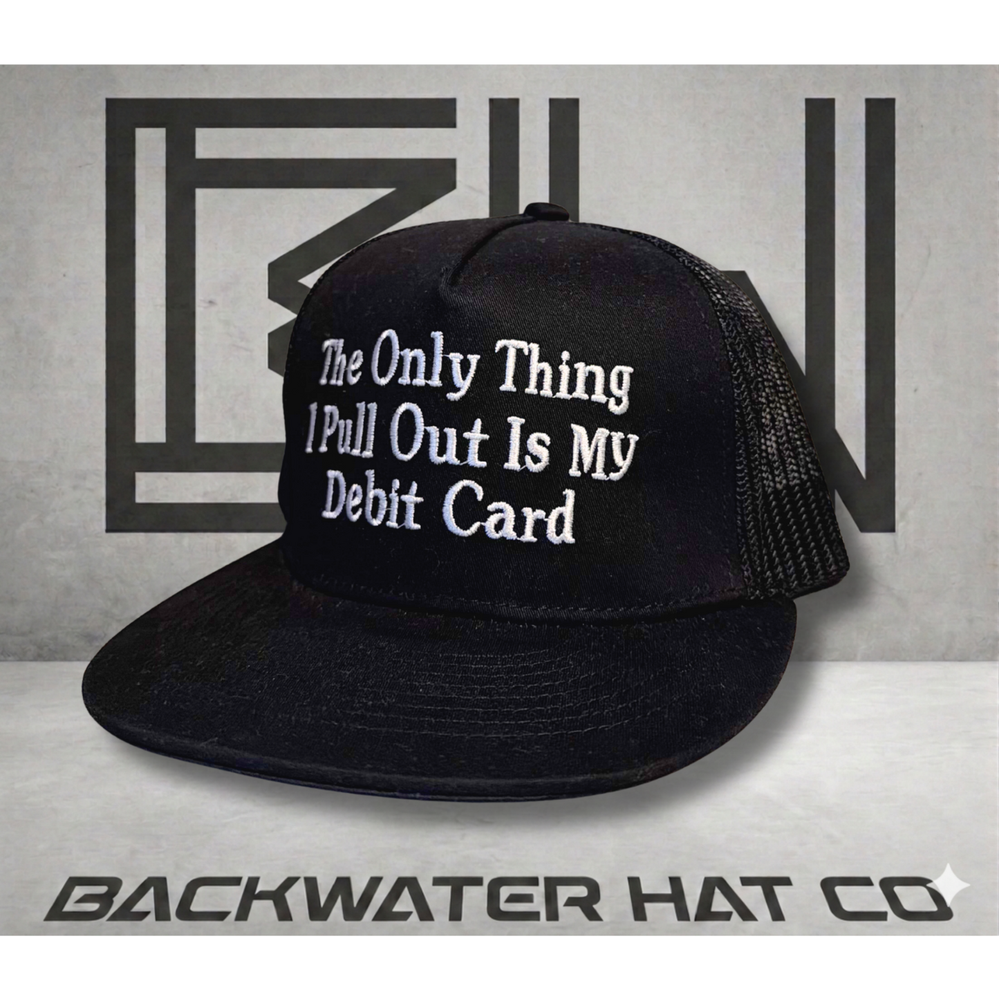 Pull Out My Debit Card Snapback Hat